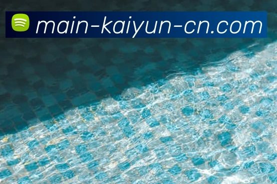 App Interface Preview